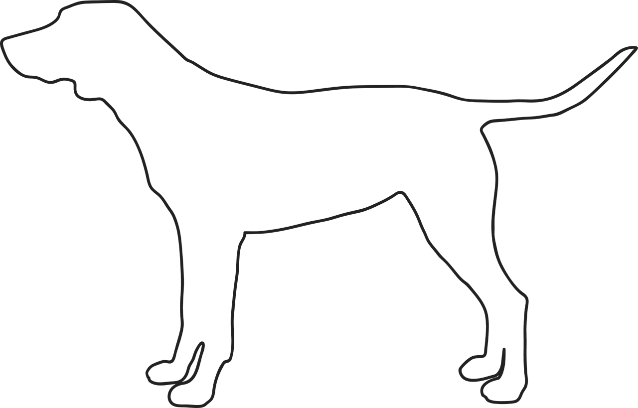 Side profile of a standing dog, used to show where to hold the tape for this measurement